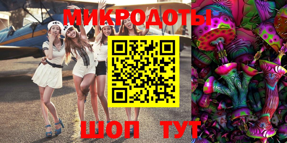 Галлюциногенные грибы Psilocybe Коркино